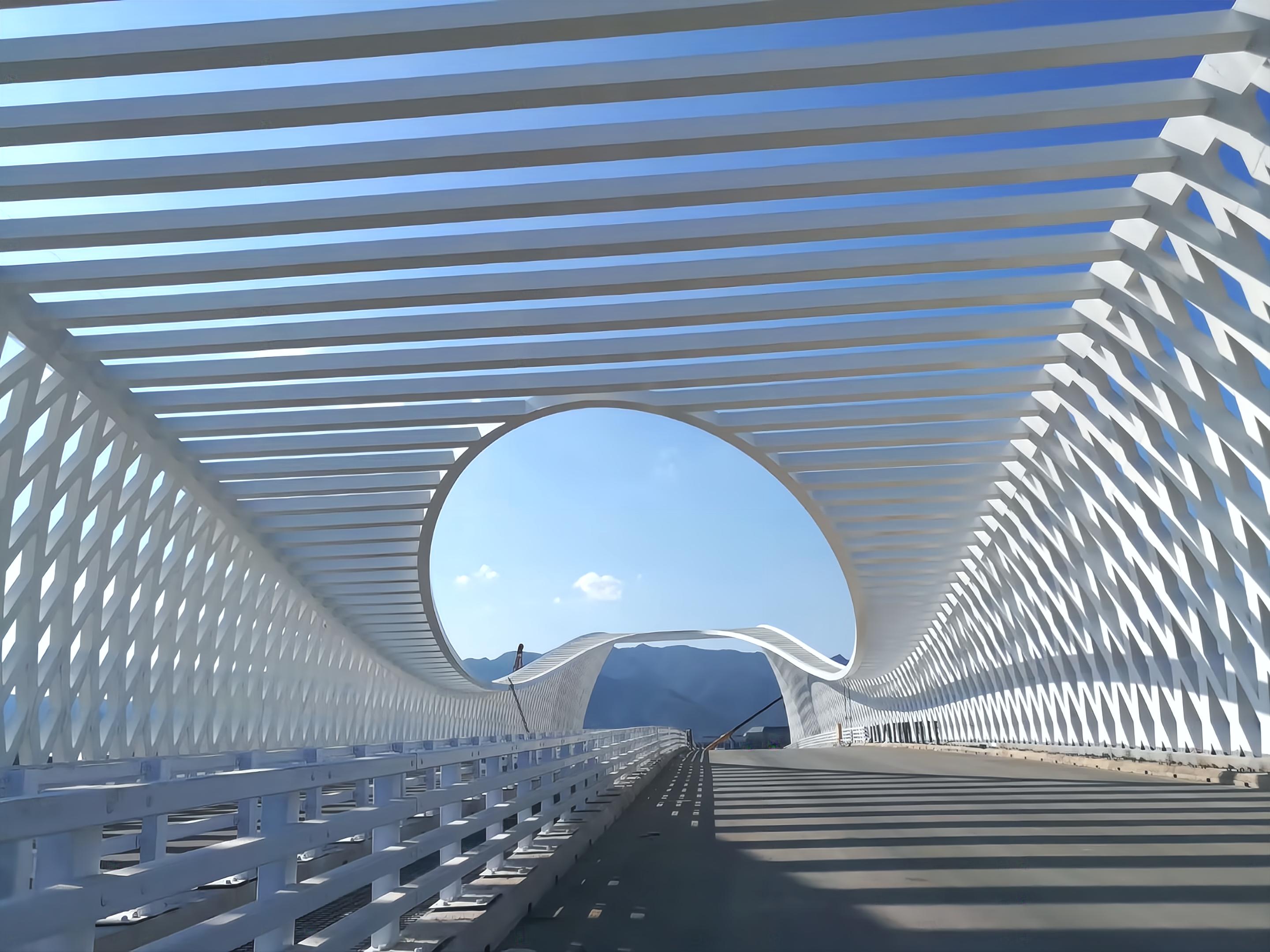 長(zhǎng)利大道橋